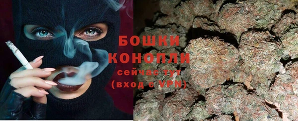 прущие крисы Арсеньев