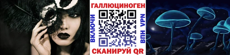 Псилоцибиновые грибы прущие грибы  МЕГА tor  Карачаевск 